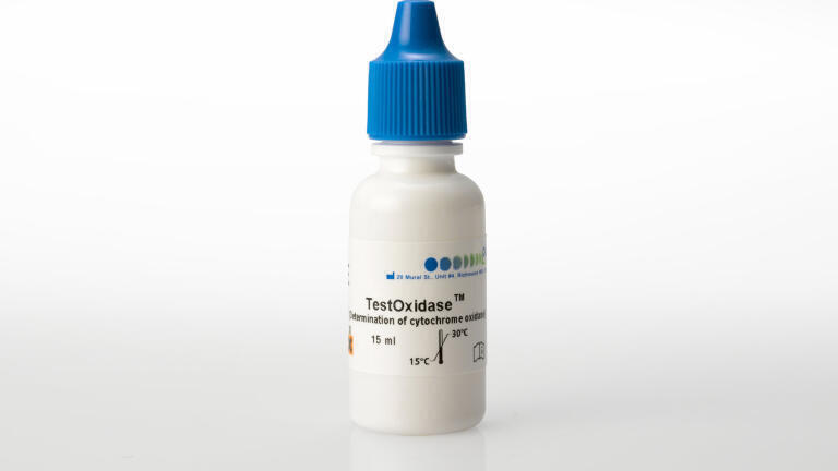 Testoxidase