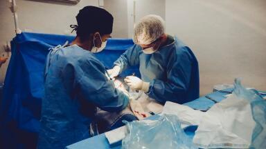 Is it Possible to Transplant a Human Head?