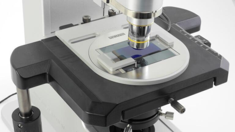 Collaboration to Work on the Development of New Protocols for Sperm Testing Announced