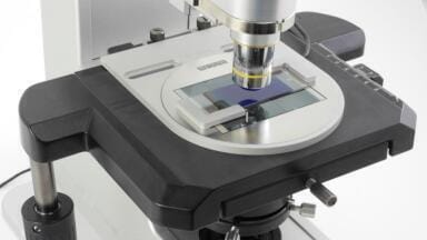 Warm Stage for Live Cell Research Launched