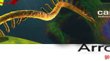 Ribosomal RNA Removal Kits provide Quick and Easy Protocol in Under One Hour