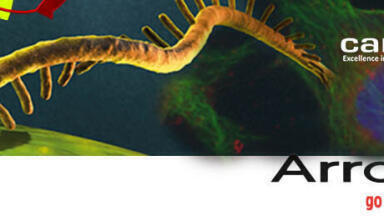 Ribosomal RNA Removal Kits provide Quick and Easy Protocol in Under One Hour