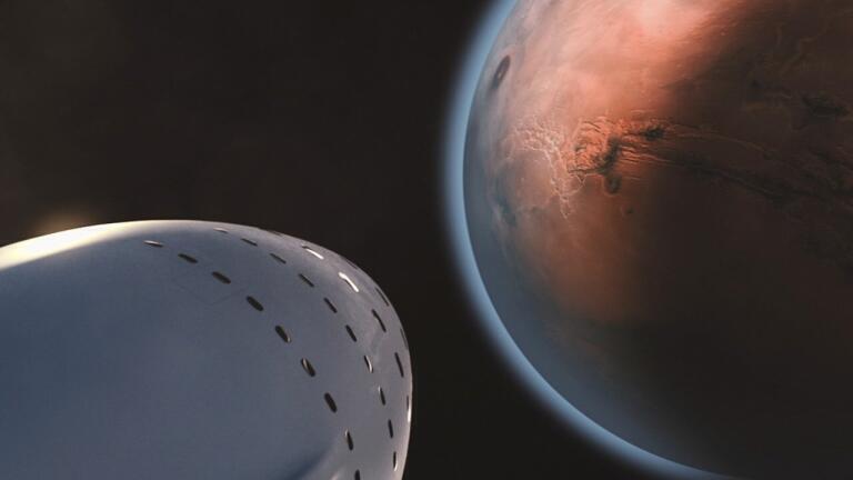 Could Mars Visit Harm Astronauts? Studies on Mice Say Yes!