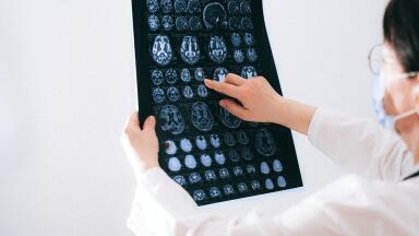 Possible Link Between Brain and Immune System Could Contradict Textbooks