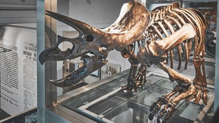 Say Hello to the Regaliceratops!
