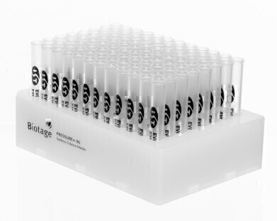 Evolute EvoluteTools D.LOFT Introduction