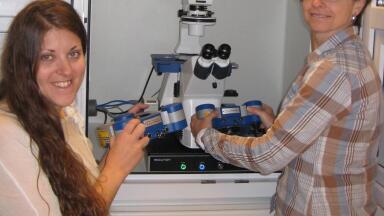 Report on the Exploration of Living Cells using Nanoscale and Single Molecule Techniques through the Application of Scanning Probe Microscopy 