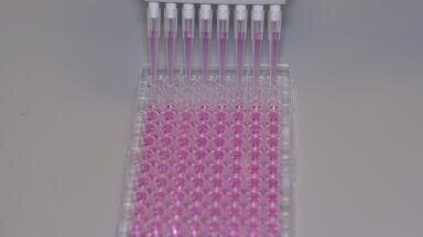 New Range of Growth Factor Protein Surfaces Introduced