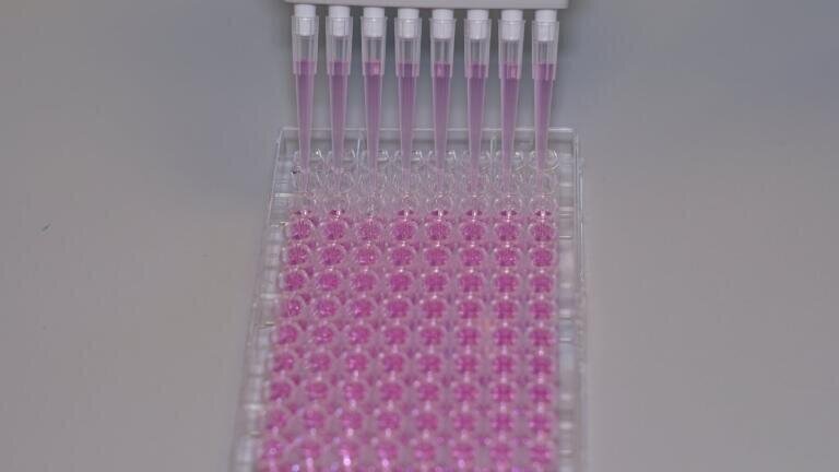 New Range of Growth Factor Protein Surfaces Introduced