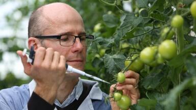 Fungicide Technology Could Help Prevent Crop Failures