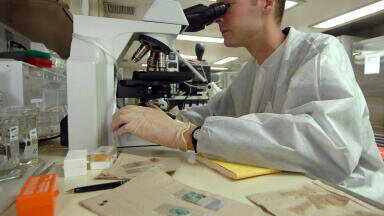 Why Is Microbiology Important?