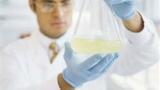 New Event Platform for Bio-based Industry