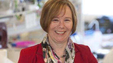 Structural Biology Lab Funded by University