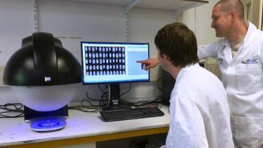 Multispectral Imaging System Provides High Throughput Screening of Wheat Samples 