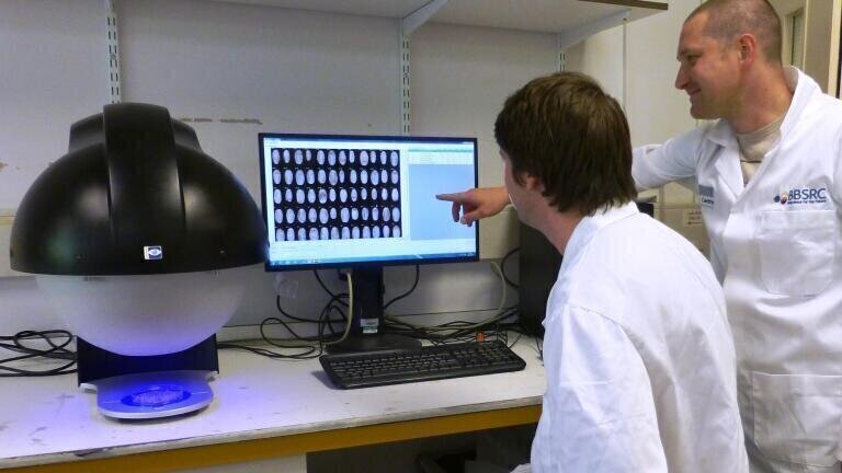 Multispectral Imaging System Provides High Throughput Screening of Wheat Samples 