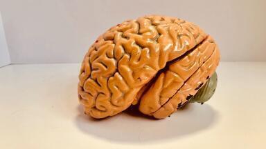 How Long Before Telepathy Tech Is a Reality?