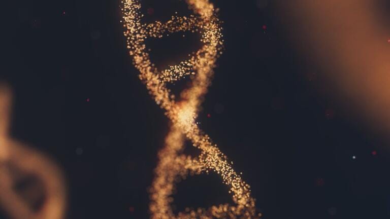 What Is Next-Generation Sequencing?