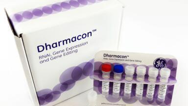 New CRISPR-Cas9 Gene Engineering Products Launched