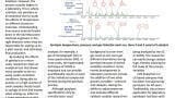 Using Pyrolysis as a Laboratory Tool to Save Time And Money in Biofuel Analysis