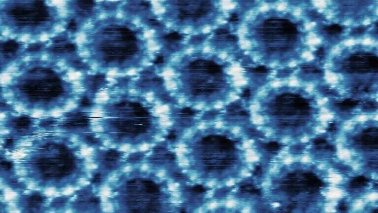 Supramolecular Nanoring Network,