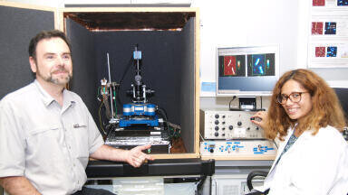Report on the Use of Scanning Electrochemical Microscopy to Study Nanoscale Biostructures