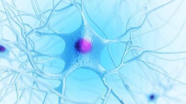 Protein Delivery Reagent Assists Neurodegeneration Research
