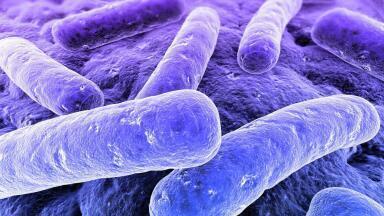 Specific Biomarker Test for Early Sepsis Identification Introduced