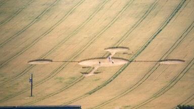 The Curious Crop Circle Phenomenon