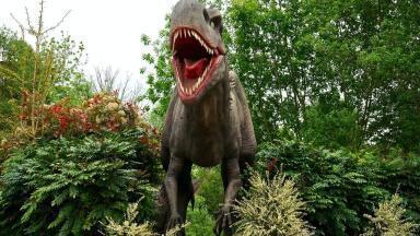 What Would Happen If Dinosaurs Still Roamed the Earth?