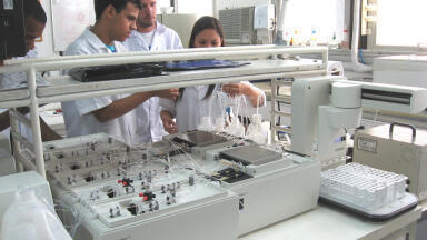 Laboratory warning about water quality at Rio 2016 Olympics
