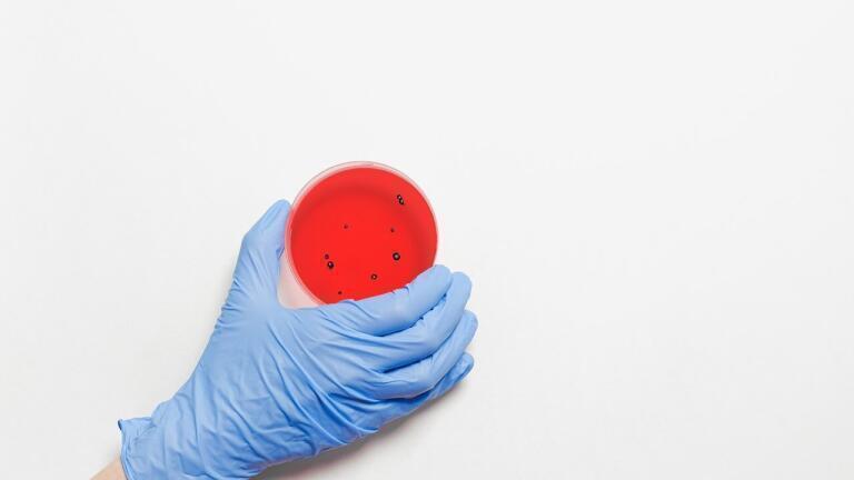 Scientists Shaken Up By Discovery of New Human Virus in Old Blood Samples