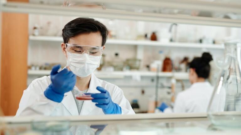 Japanese Scientists Achieve Lab Kidney Feat