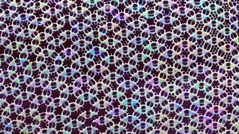 Structural Life by Anne Weston - False coloured SEM of a fragment from a  diatom frustule