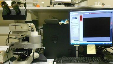Temperature Controlled Stages in use at the University of Bristol to Assist in Endocytic Sorting Research