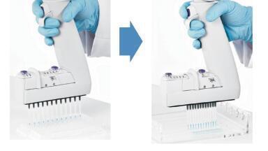 Improve Gel Loading for PCR Analysis with Adjustable Tip Spacing Electronic Pipettes