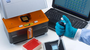 PCR Detection Method for Flavour Spoilage Yeast Now Available