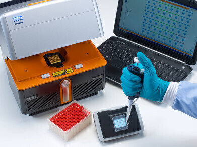 PCR Detection Method for Flavour Spoilage Yeast Now Available
