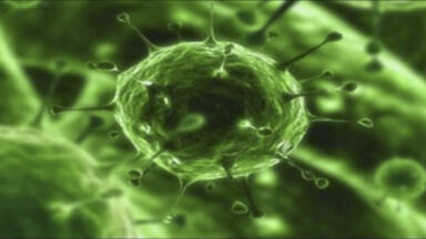 First Zika Virus Antigens Launched