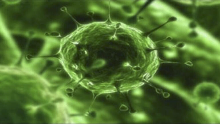First Zika Virus Antigens Launched
