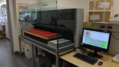 Personal Touch Added to Wine Microbiology