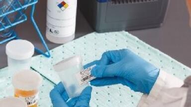 Identify every laboratory sample