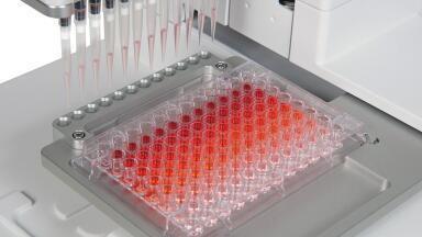 Pipetting Techniques to Improve Serial Dilution Assays