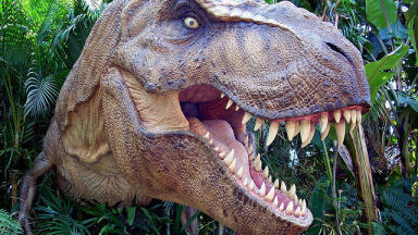 Largest Dinosaur Site in Scotland Discovered