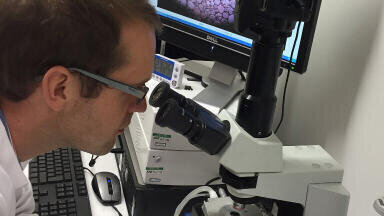 Cryo Stage Helps in the Development of New Cryoprotectants for Biological Storage
