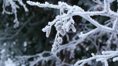 What is Ice Nucleation?