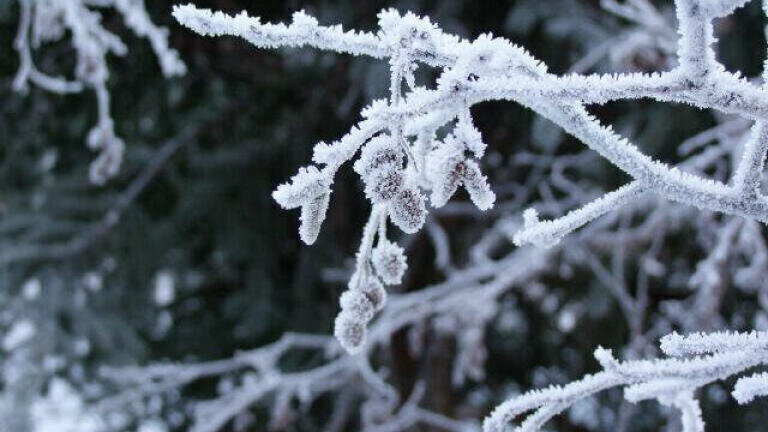 What is Ice Nucleation?