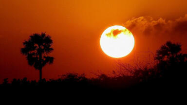 Could We Survive Without the Sun?