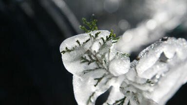 What is Ice Propagation?