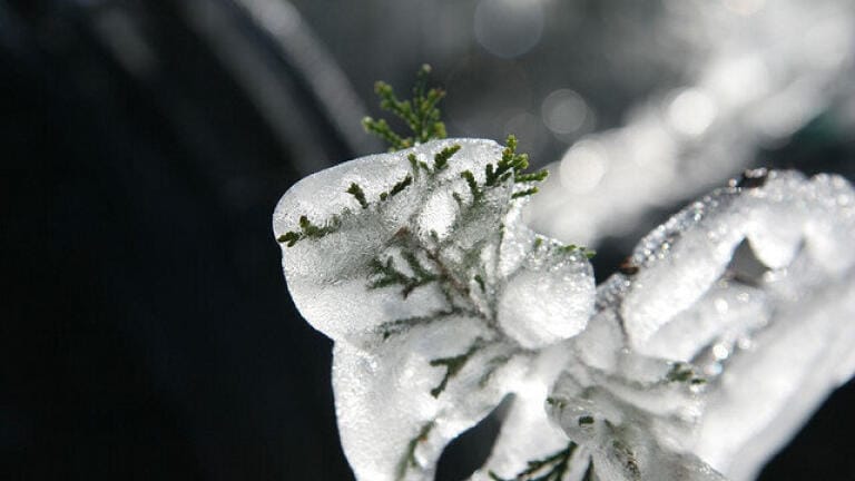 What is Ice Propagation?