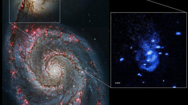 Do Black Holes Burp?